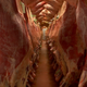 Image for article titled Who’s inspecting your meat? Some days maybe nobody
